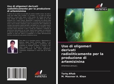 Uso di oligomeri derivati radioliticamente per la produzione di artemisinina