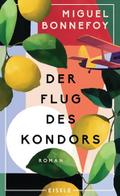 Der Flug des Kondors