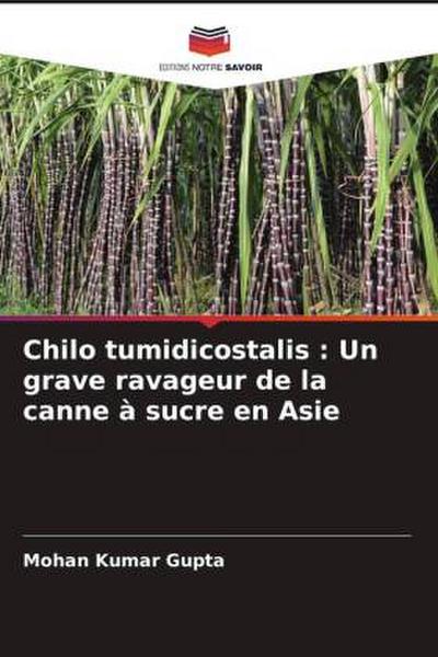 Chilo tumidicostalis : Un grave ravageur de la canne à sucre en Asie