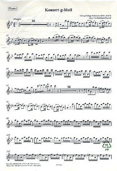Konzert g-Mollfür Blockflöte, 2 Violinen, Viola und Bc (nicht ausgesetzt)