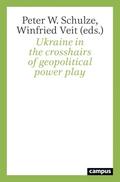 Ukraine in the crosshairs of geopolitical power play