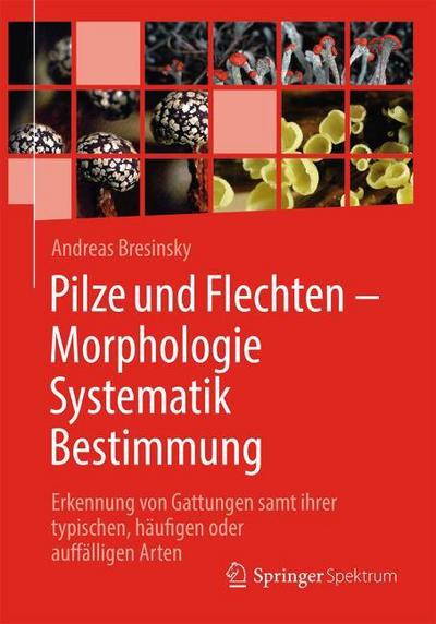 Pilze und Flechten - Morphologie, Systematik, Bestimmung
