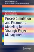 Process Simulation and Parametric Modeling for Str