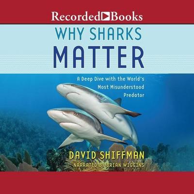Why Sharks Matter: A Deep Dive with the World’s Most Misunderstood Predator