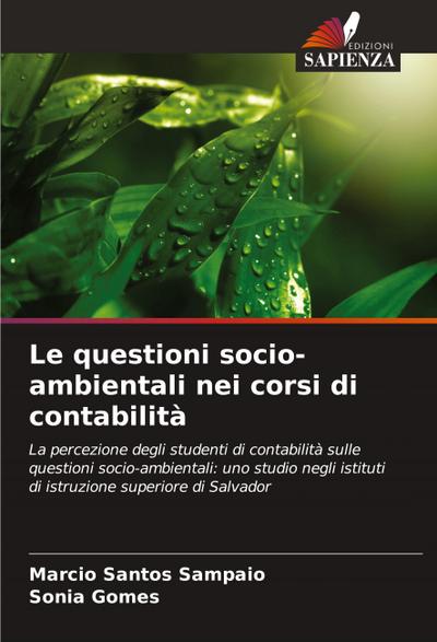 Le questioni socio-ambientali nei corsi di contabilità