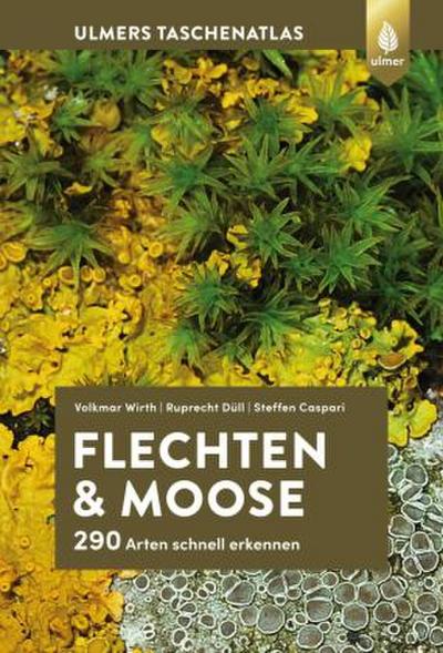 Flechten und Moose