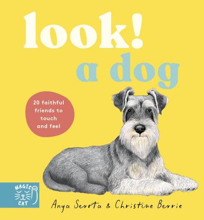 Look! A Dog!