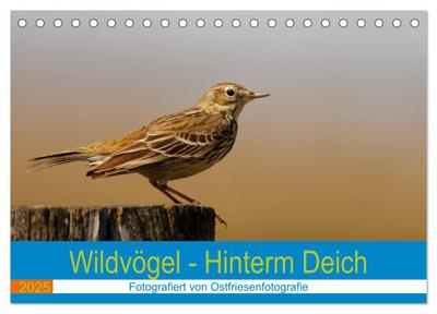 Wildvögel - Hinterm Deich (Tischkalender 2025 DIN A5 quer), CALVENDO Monatskalender