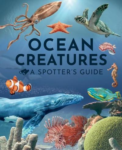 Ocean Creatures: A Spotter’s Guide