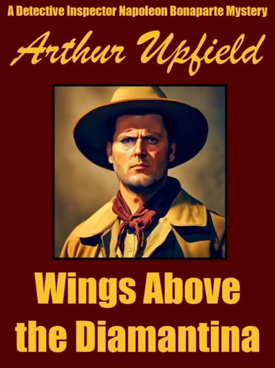 Wings Above the Diamantina
