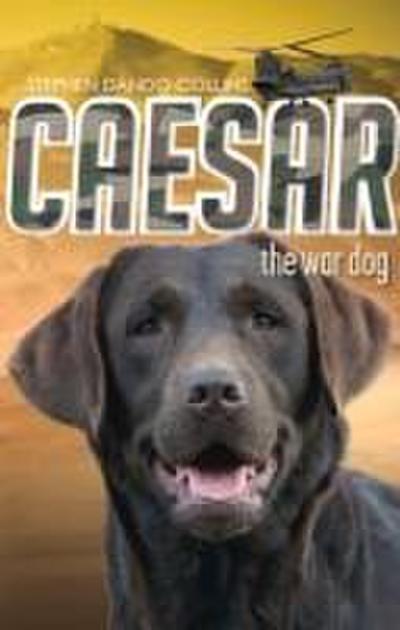 Caesar the War Dog