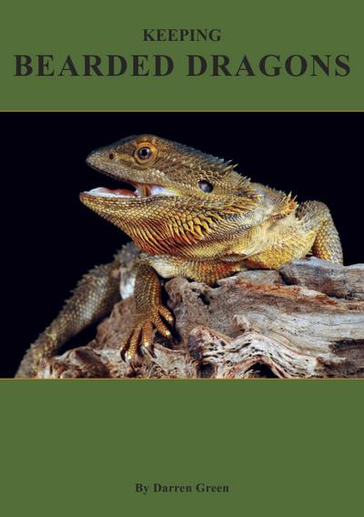 Keeping Bearded Dragons