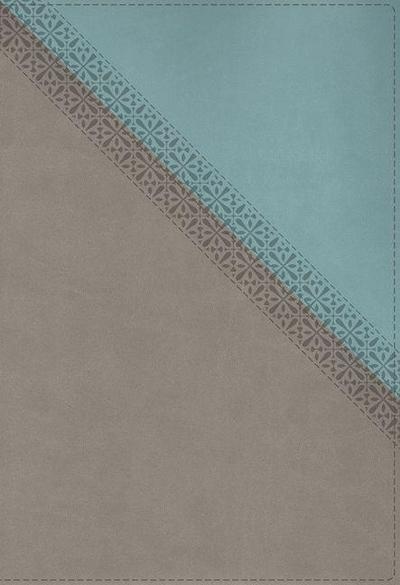 NIV Application Bible, Leathersoft, Teal/Grey, Red Letter, Comfort Print