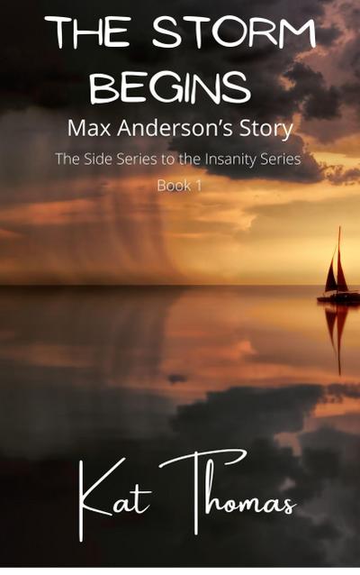The Storm Begins (Insanity Novella(Max POV), #1)