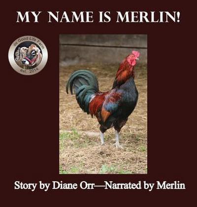 Orr, D: My Name is Merlin