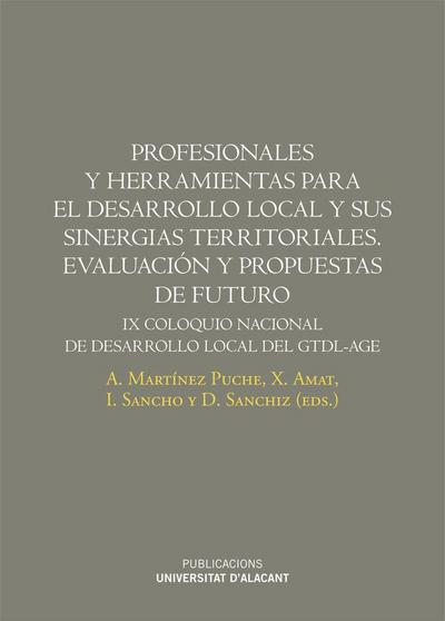 Profesionales y herramientas para el desarrollo local y sus sinergias territoriales : evaluación y propuestas de futuro : IX Coloquio Nacional de Desarrollo Local del GTDI-AGE