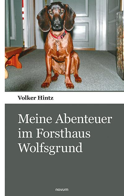 Meine Abenteuer im Forsthaus Wolfsgrund