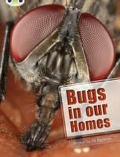 Bug Club Independent Non Fiction Year Two Lime A Bugs in our Homes