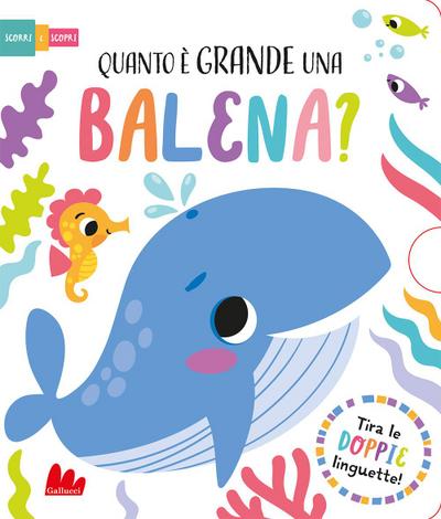 Quanto è grande una balena? Scorri e scopri