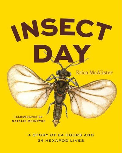 Insect Day