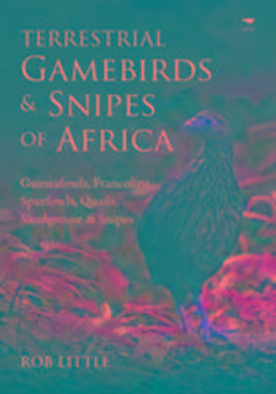 Terrestrial gamebirds & snipes of Africa