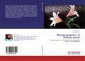Micropropagation of Bulbous plants