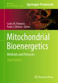Mitochondrial Bioenergetics