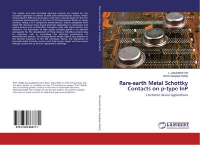 Rare-earth Metal Schottky Contacts on p-type InP