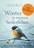 Winter in meiner Seele