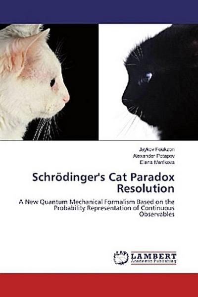 Schrödinger’s Cat Paradox Resolution