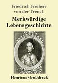 Merkwürdige Lebensgeschichte (Großdruck)