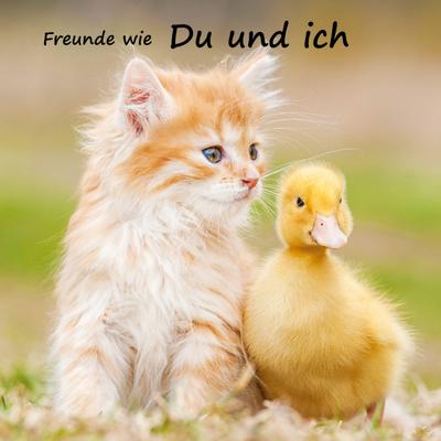 Freunde wie du und ich - das beste Freundebuch weit und breit