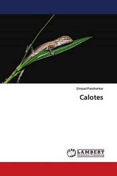 Calotes