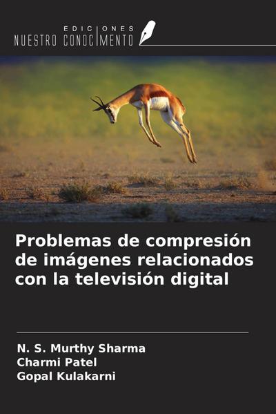 Problemas de compresión de imágenes relacionados con la televisión digital