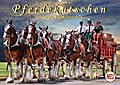 Pferdekutschen - Vorgänger des Automobils (Wandkalender 2017 DIN A2 quer) - Peter Roder