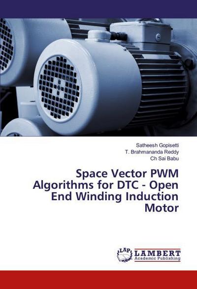 Space Vector PWM Algorithms for DTC - Open End Winding Induction Motor
