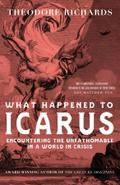 What Happened to Icarus