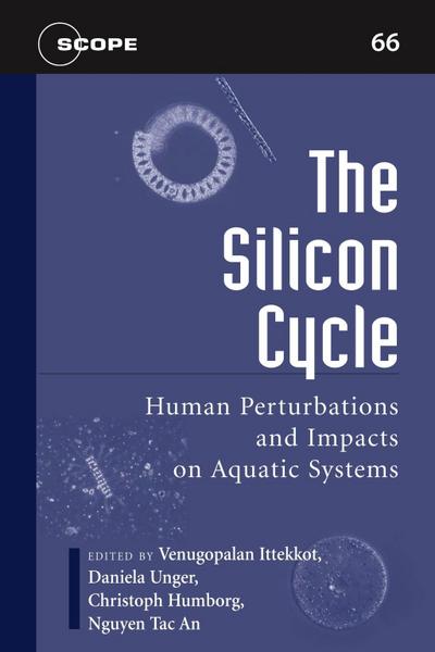 Silicon Cycle