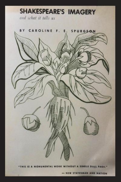 Shakespeare’s Imagery and What it Tells Us