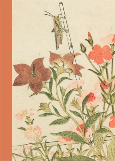 Blankobuch Heuschrecke und rote Libelle