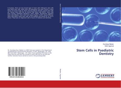 Stem Cells in Paediatric Dentistry
