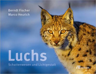 Luchs