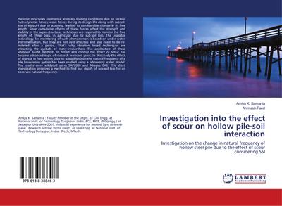 Investigation into the effect of scour on hollow pile-soil interaction