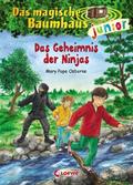 Das Geheimnis der Ninjas