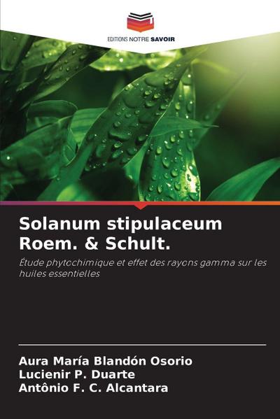 Solanum stipulaceum Roem. & Schult.