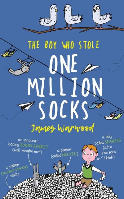 The Boy Who Stole One Million Socks