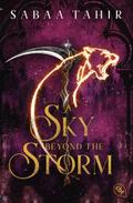 A Sky Beyond the Storm