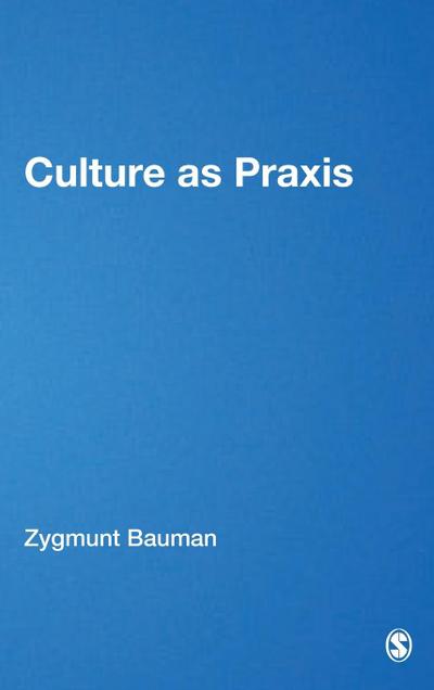 Culture as Praxis