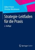 Strategie-Leitfaden für die Praxis