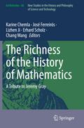 The Richness of the History of Mathematics